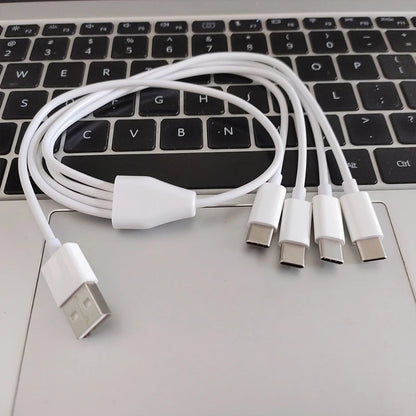 Câble USB-C multi 4-en-1 charge rapide – vue principale