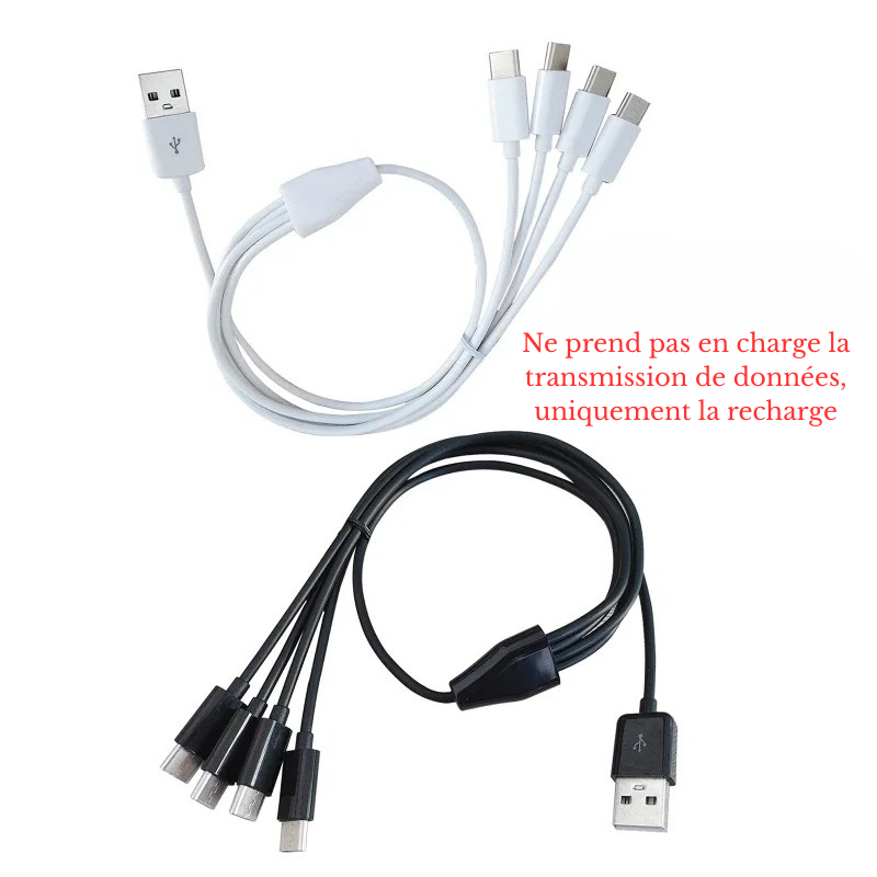 Gros plan sur les connecteurs du câble USB-C multi 4-en-1